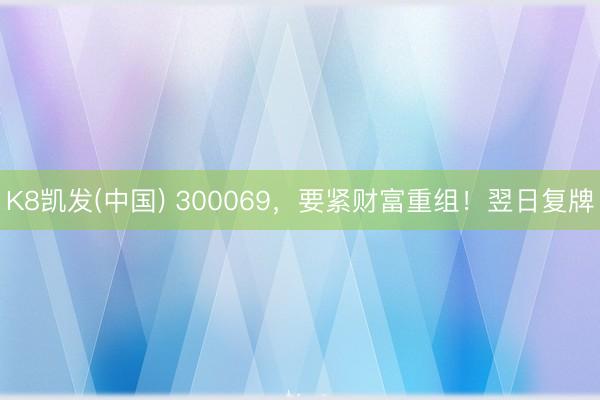 K8凯发(中国) 300069,要紧财富重组!翌日复牌
