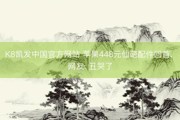 K8凯发中国官方网站 苹果448元仙葩配件回首， 网友: 丑哭了