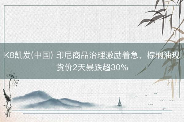 K8凯发(中国) 印尼商品治理激励着急，棕榈油现货价2天暴跌超30%