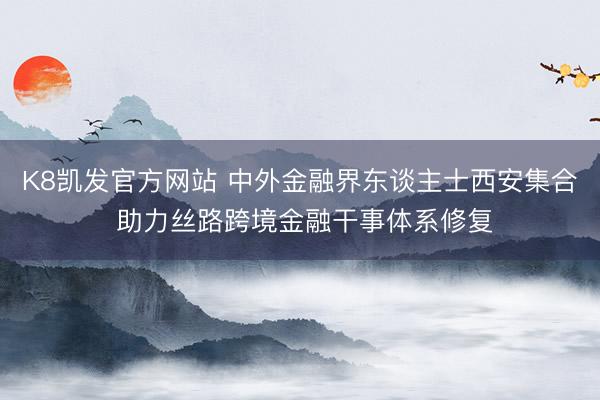 K8凯发官方网站 中外金融界东谈主士西安集合 助力丝路跨境金融干事体系修复
