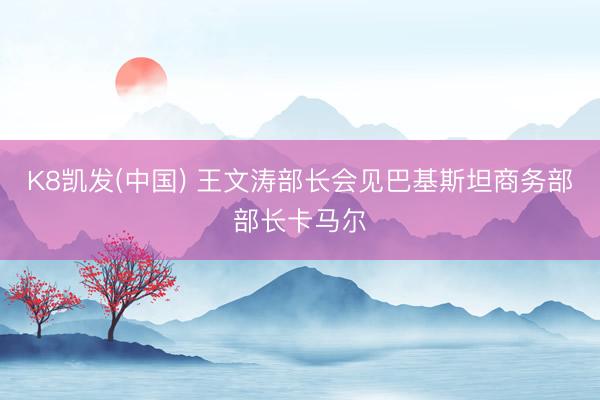 K8凯发(中国) 王文涛部长会见巴基斯坦商务部部长卡马尔