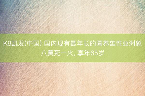 K8凯发(中国) 国内现有最年长的圈养雄性亚洲象八莫死一火， 享年65岁