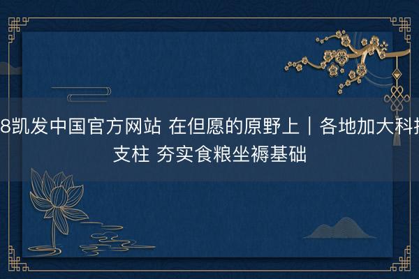 K8凯发中国官方网站 在但愿的原野上｜各地加大科技支柱 夯实食粮坐褥基础