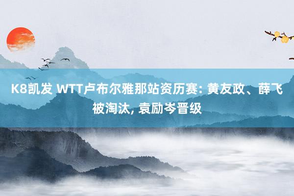 K8凯发 WTT卢布尔雅那站资历赛: 黄友政、薛飞被淘汰， 袁励岑晋级